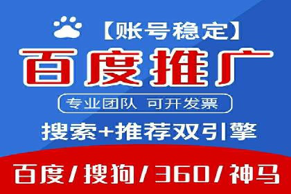 SEM主管实战：案例分析与优化策略